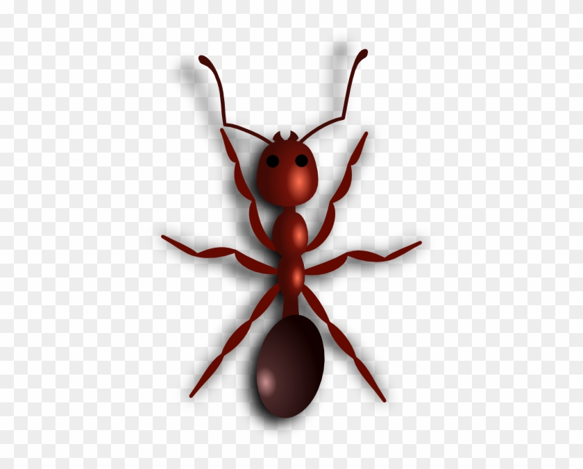 Fire Ant Clip Art At Clker - Ant Clip Art #189750