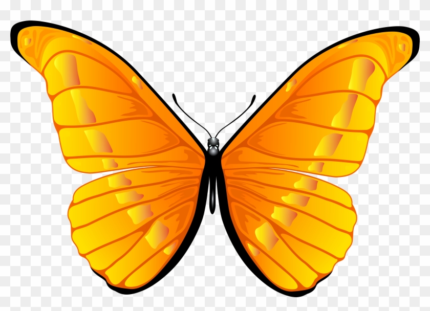Butterfly In Clipart - Orange Butterfly Clip Art #190251
