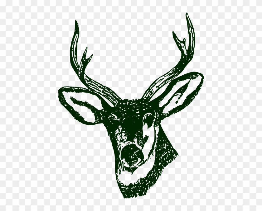 Deer Head Green #190548