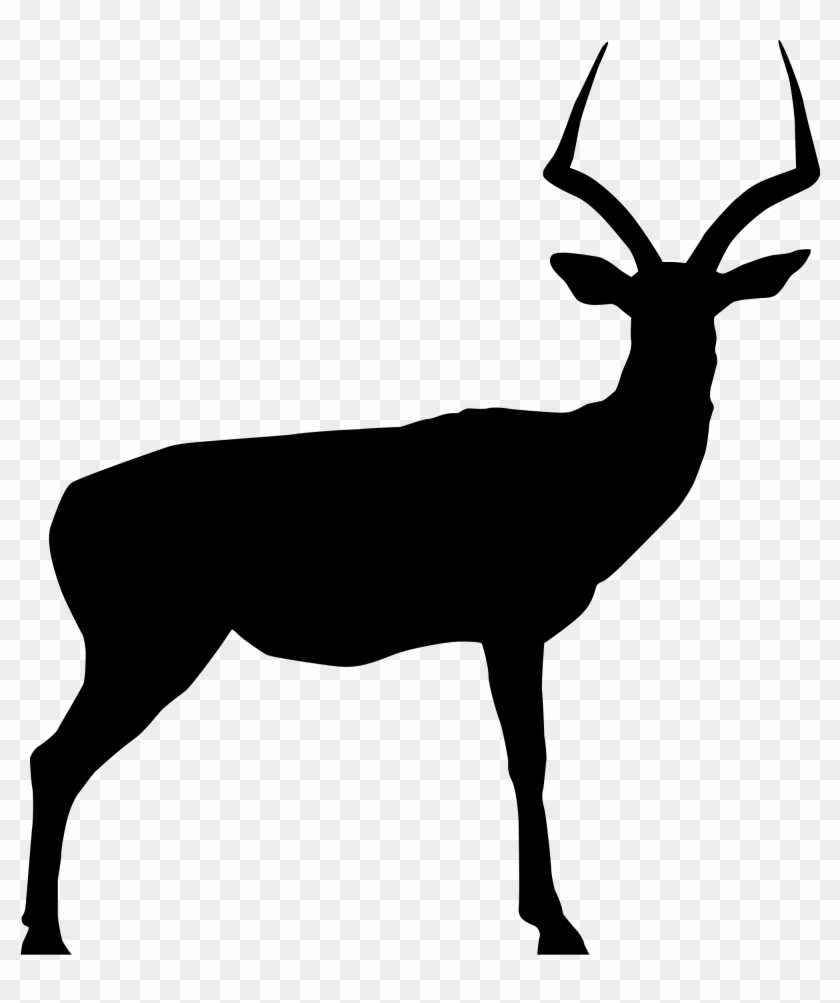 File - Impala Profil - Svg - Black And White Impala Clipart #190581