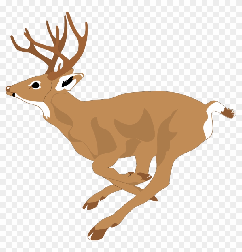 Dear Clipart Mule Deer - Deer Running Clipart #190588