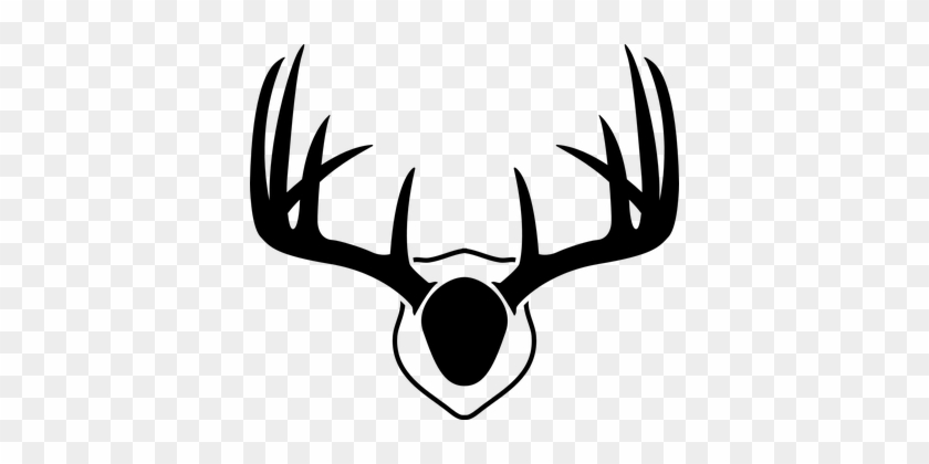 Antlers Deer Whitetail Animal Antlers Antl - Drawing Of Deer Antlers #190609