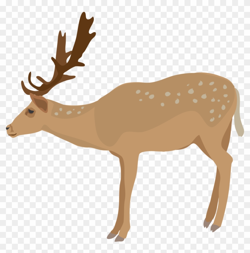 Deer Clipart - Deer Clipart No Background #190634