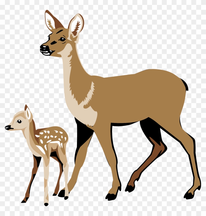 Deer Head - White Tailed Deer Clipart #190648