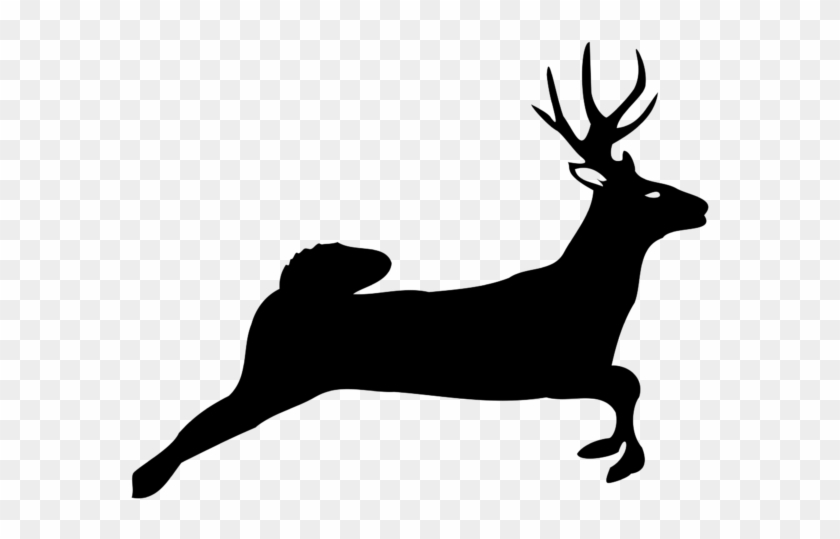 Deer Jumping Png #190653