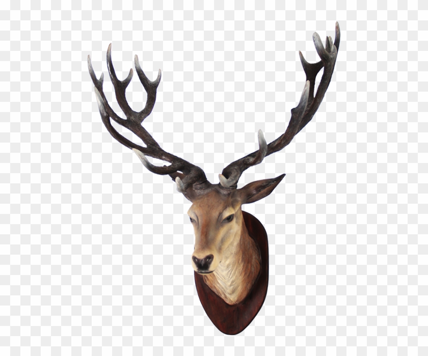 Clipart Png Deer Best - Deer Head Transparent #190666