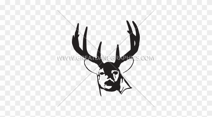 Deer Head Stare - Deer #190674