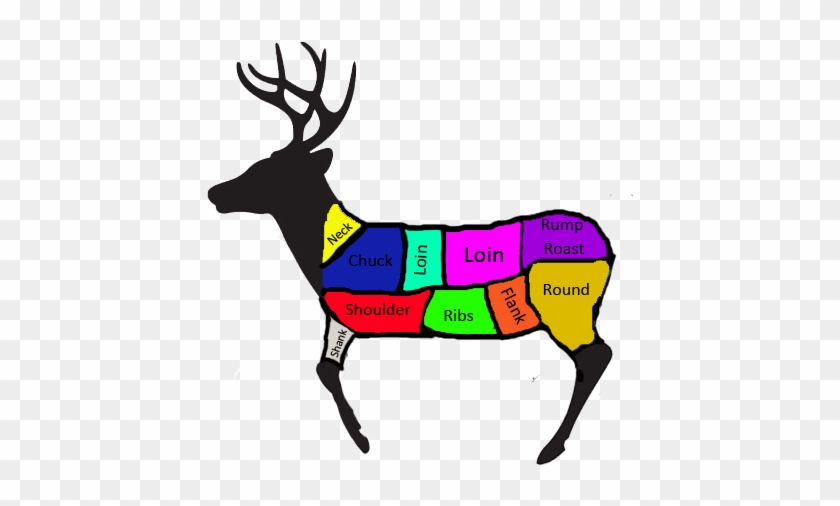 Cuts Of Meat On Deer #190689