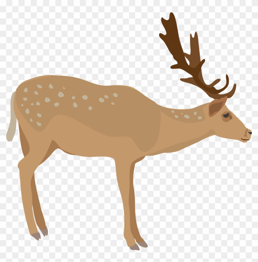 Deer Clipart - Elk #190695