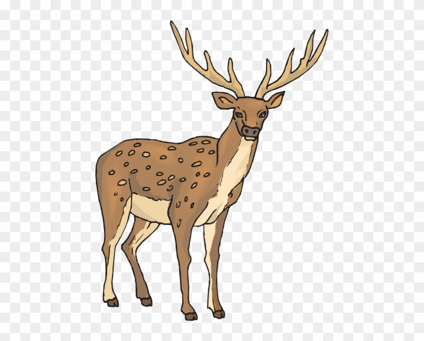 Deer Clipart Png #190693