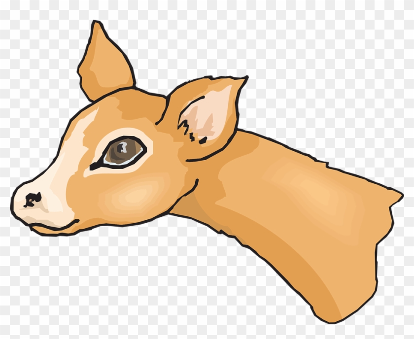 Animal Head, Eyes, Deer, Big, Cute, Animal - Deer Face Cartoon - Free  Transparent PNG Clipart Images Download