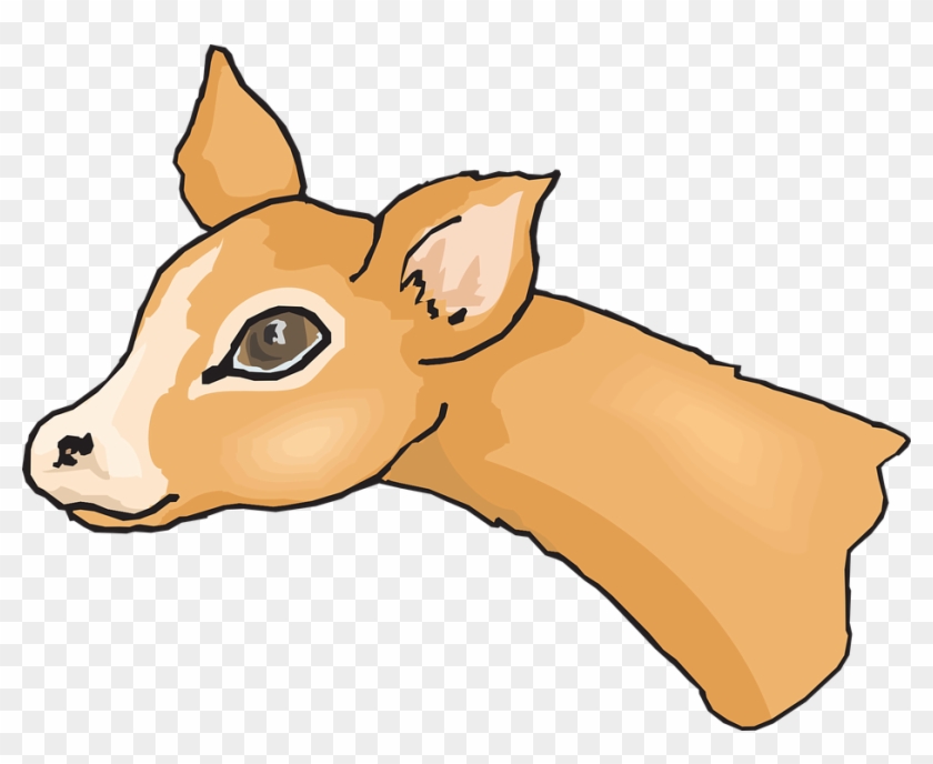 Animal Head, Eyes, Deer, Big, Cute, Animal - Deer Face Cartoon #190707