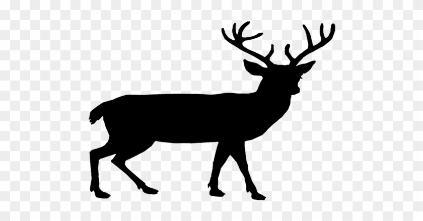 Red Deer - Deer Silhouette Clip Art #190709