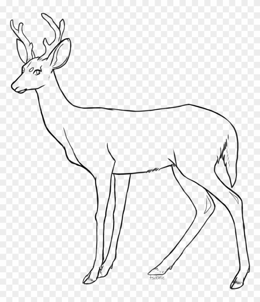 Free Deer Lineart By Tsubelle On Clipart Library - Line Art Deer #190716