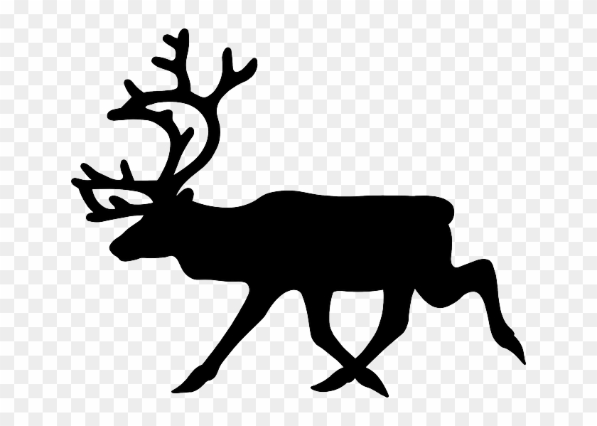 Moose, Elk, Deer, Animal, Mammal - Reindeer Black And White #190723