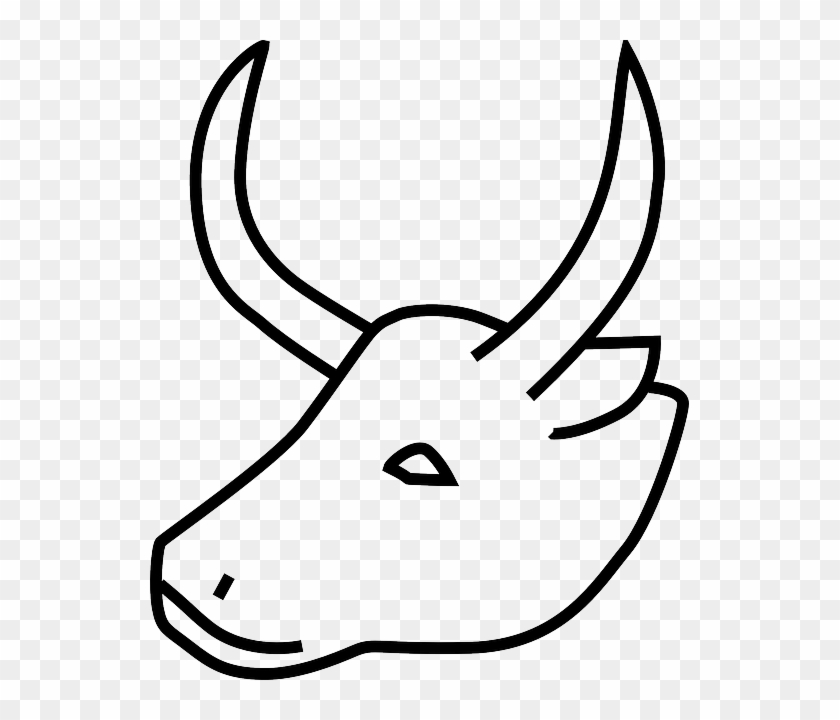 Cow - Horn Of Animals Drawing #190725