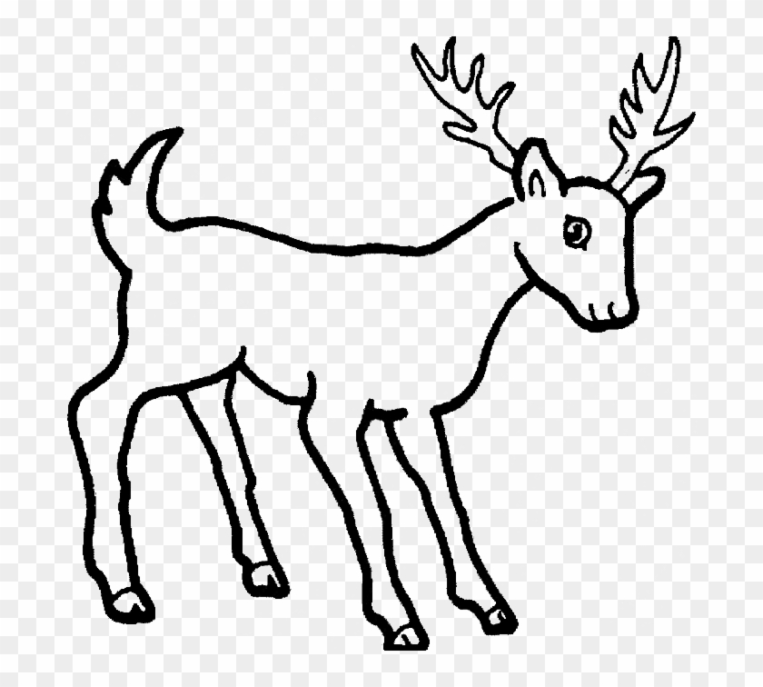 Deer Coloring Page - Simple Drawing Of Wild Animals - Free Transparent PNG  Clipart Images Download