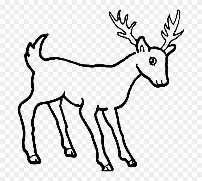 Deer Coloring Page - Simple Drawing Of Wild Animals #190727