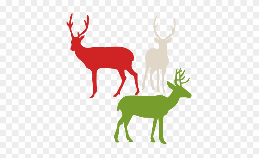 Winter Reindeer Svg Scrapbook Cut File Cute Clipart - Scalable Vector Graphics #190761