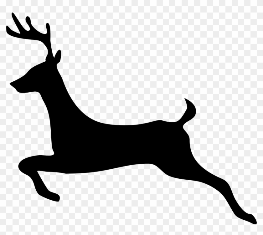 Deer, Stag, Animal, Hoofed, Cervus, Jump - Deer Clip Art #190767