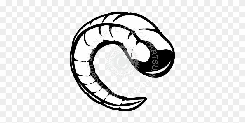 Horns Clipart Ram Horn - Horns Clipart Ram Horn #190780