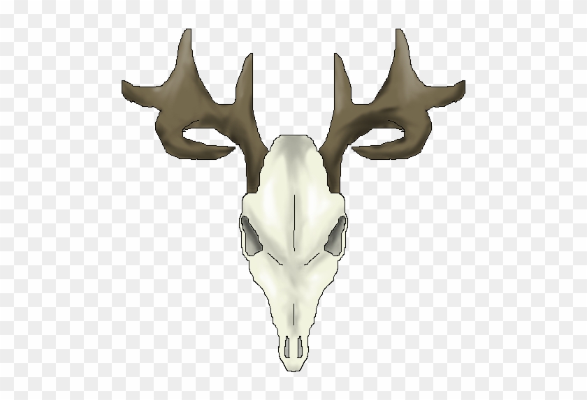 Drawings Of Deer Skulls - Animal Skull Cartoon Transparent - Free  Transparent PNG Clipart Images Download