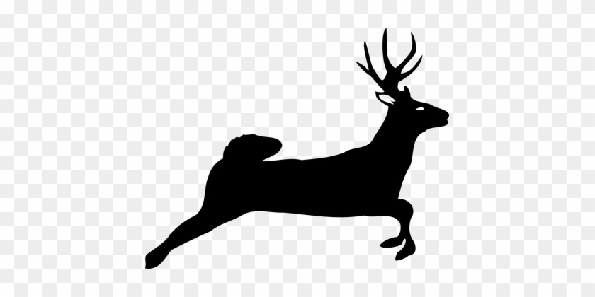 Animal Deer Nature Silhouette Deer Deer De - Deer Jumping Clipart #190824