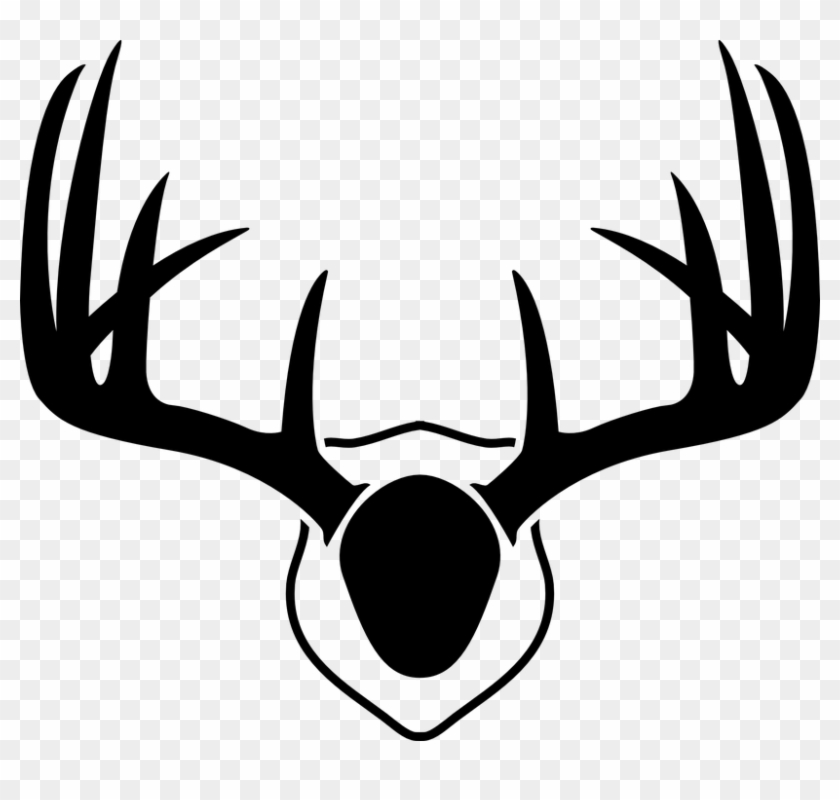 Antler Clipart Doe Head - Drawing Of Deer Antlers #190825