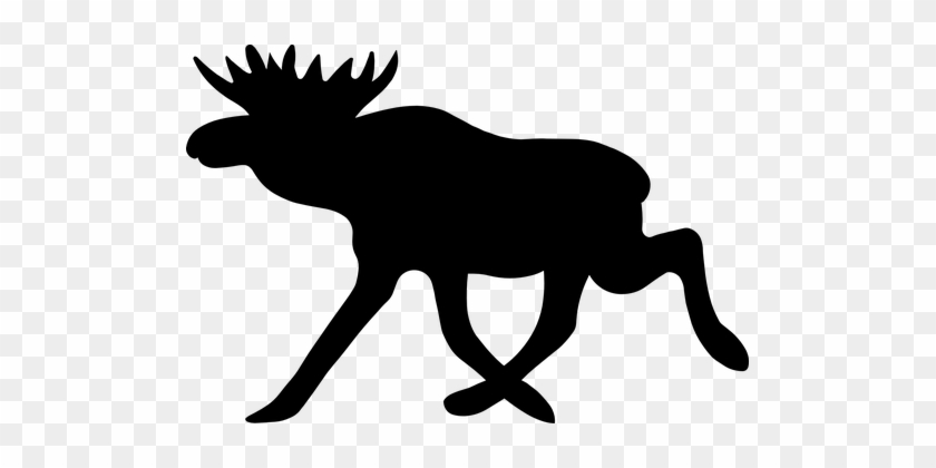 Moose Deer Animal Mammal Wild Wildlife Nat - Swedish Moose Road Sign #190837