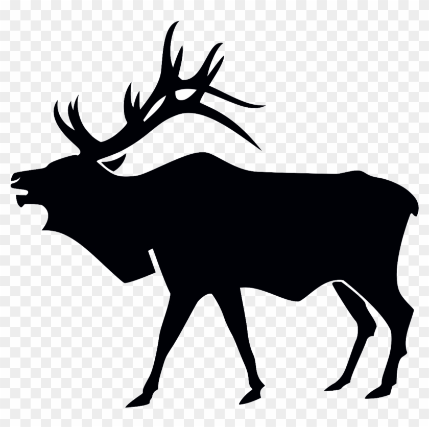Illegal - Washington State Elk Shed #190866