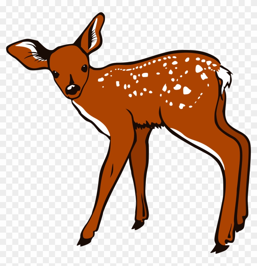Fawn - White Tailed Deer Clip Art #190878