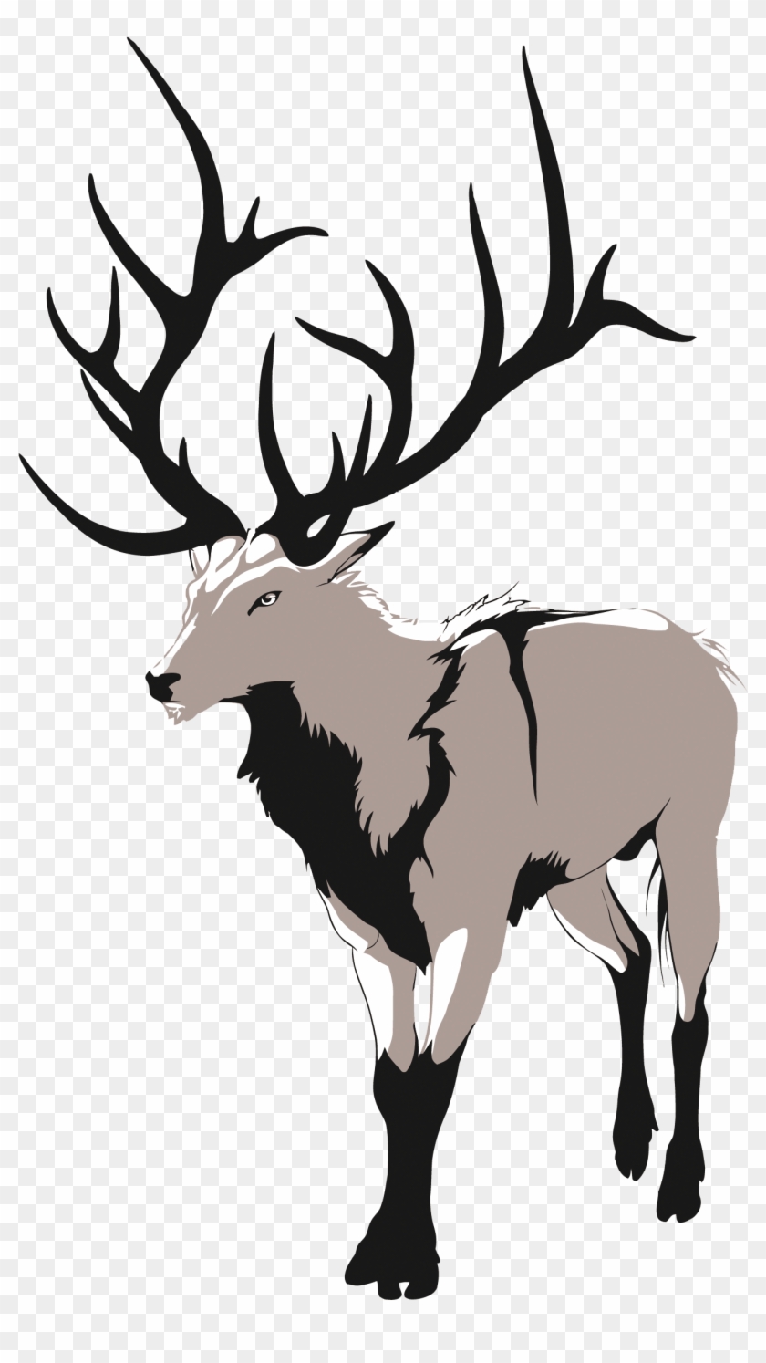 Red Deer Artemis Drawing - Red Deer Artemis Drawing #190901