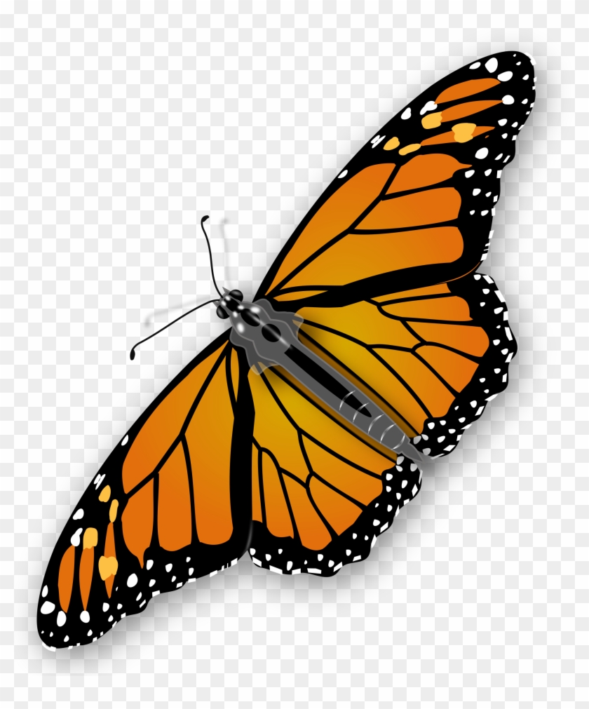 Clip Art Monarch Butterfly - Butterfly Clipart No Background - Free Transparent  PNG Clipart Images Download