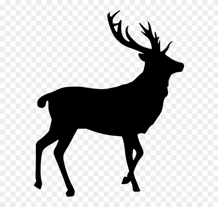 Free Photo Silhouette Elk Stag Cut Out Deer Bull - Deer Png #190926