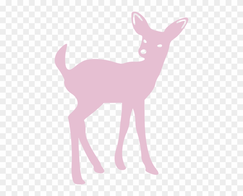 Pink Fawn #190940