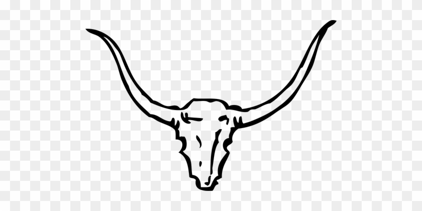 Bull Skull Cow Horn Steer Longhorn Ranch T - Bull Horns #191004