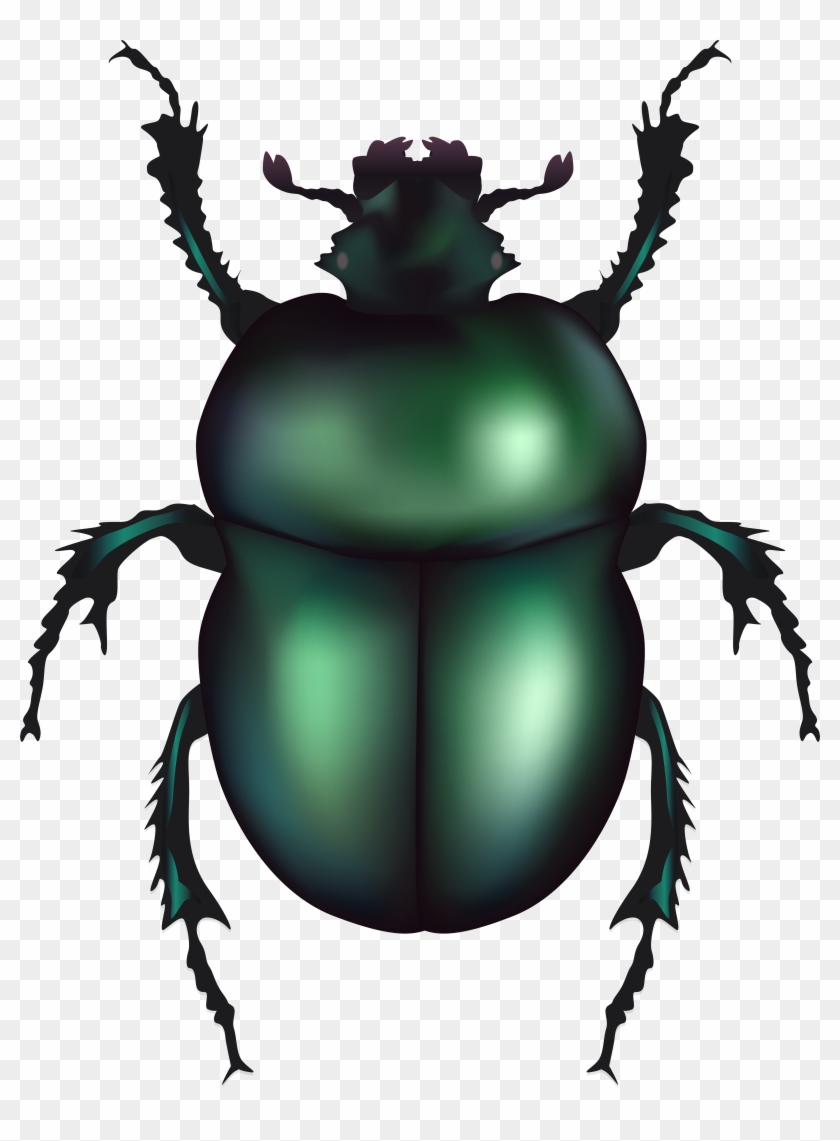 Green Rose Chafer Beetle Png Clip Art - Green Rose Chafer Beetle Png Clip Art #191018