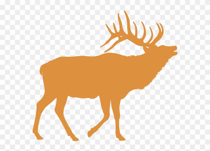 Select A Species To Learn More - Elk Silhouettes #191017