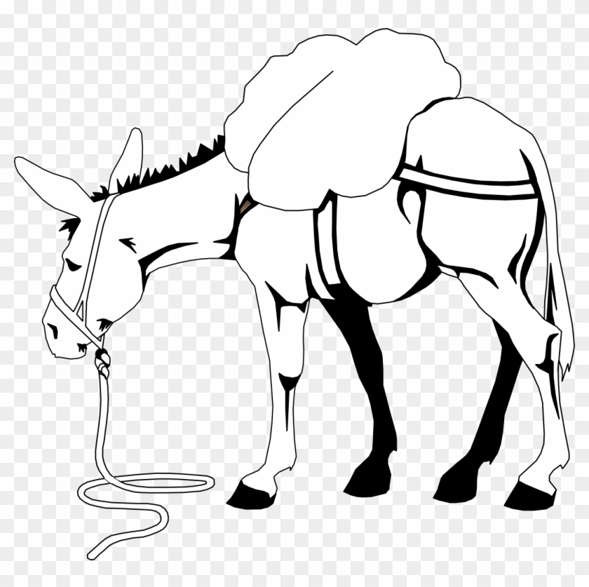 Black & White Clipart Donkey - Black And White Clipart Donkey #191025