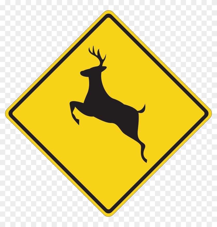 We Always Laughed, “there Aren't Any Deer Around Here - Sign For Winding Road #191031