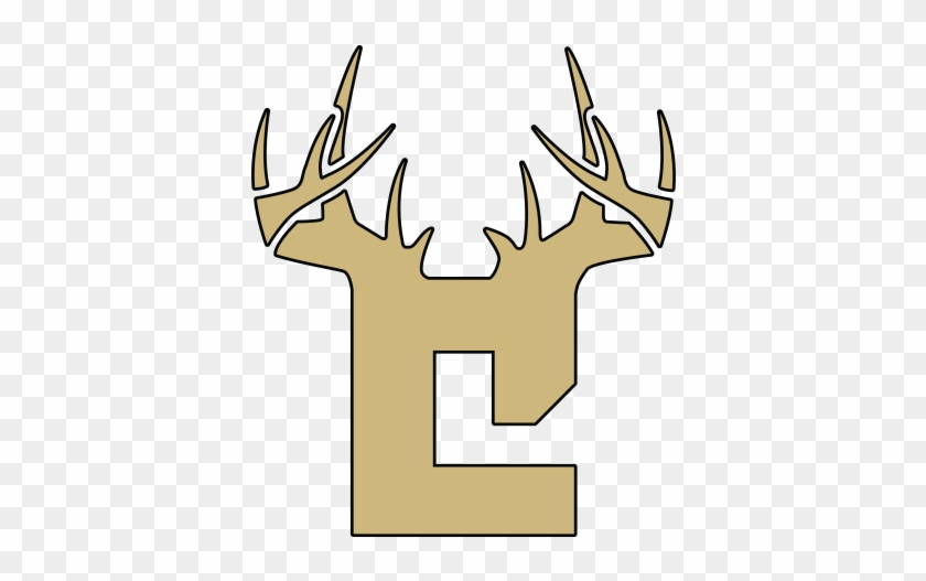 Colorado - Colorado #191037