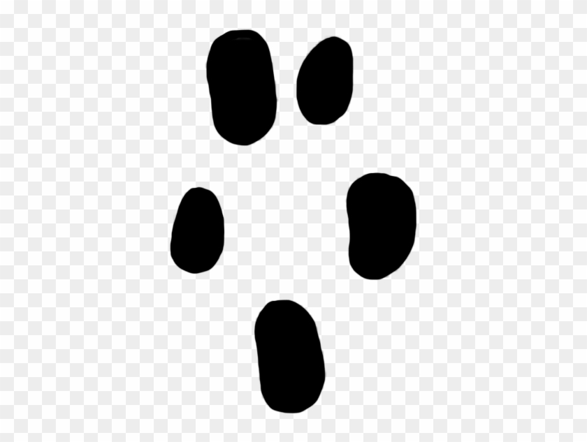 Paw Prints Clipart Shrew 7 Mm - Polar Bear #191129