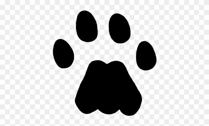 Mountain Lion Hind Track - Cat Paw Print - Full Size PNG Clipart Images