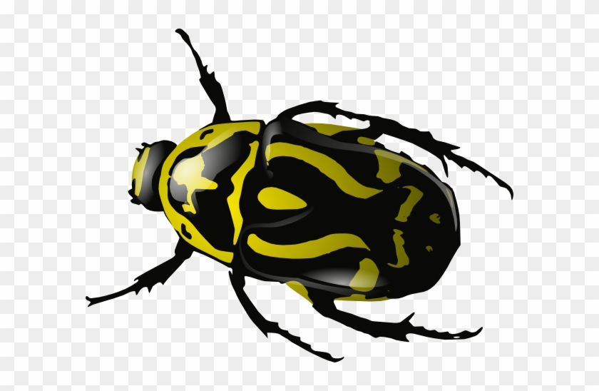 Beetles Clipart Bug Pencil And In Color Beetles Clipart - Beetles Clipart #191335