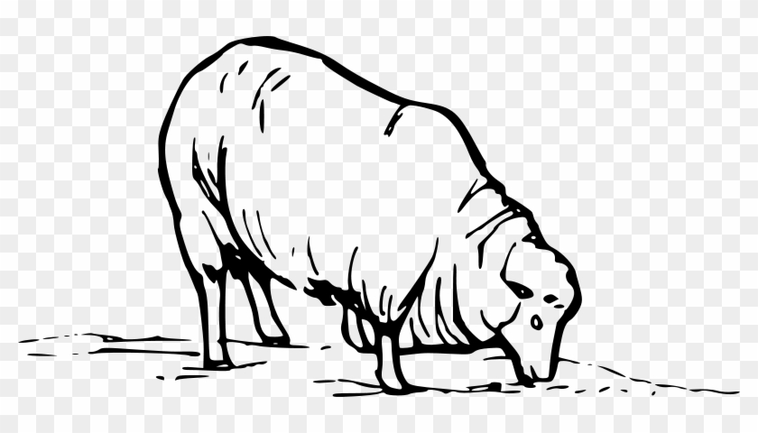 Free Sheep Eating - Sheep Clip Art #191381