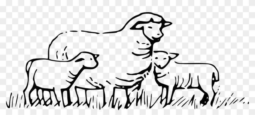 Sheep Clip Art Black And White - Sheep Black And White #191390