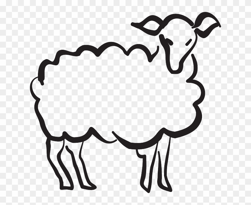 Stylized, Drawing, Style, Art, Lamb, Animal - Stylization Animals #191400