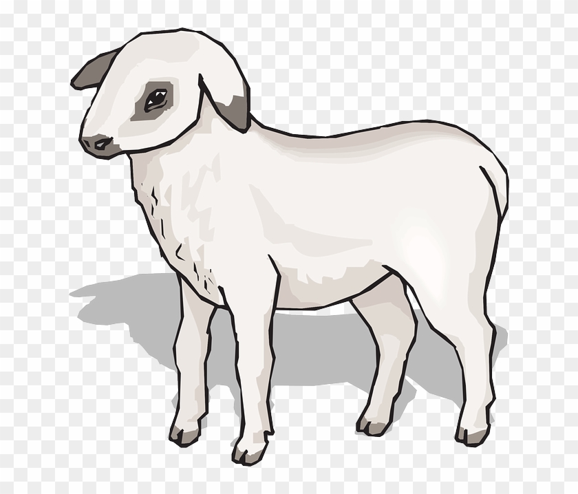 Color, Art, Standing, Lamb, Animal - Clip Art #191406