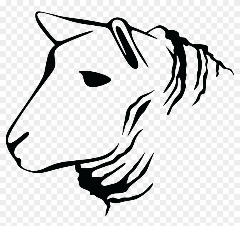 Free Clipart Of A Sheep - Lamb Vector #191417