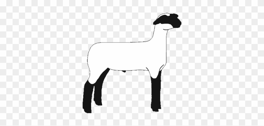 Show Lamb Silhouette #191447